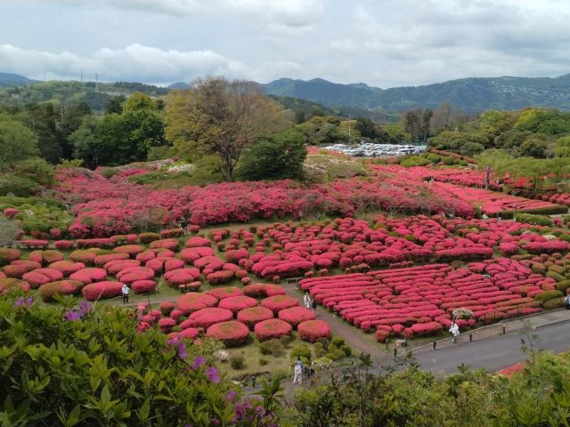 わたしのすき
