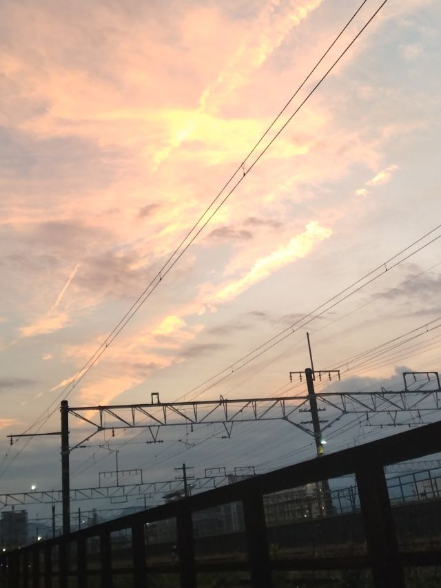 わたしのすき