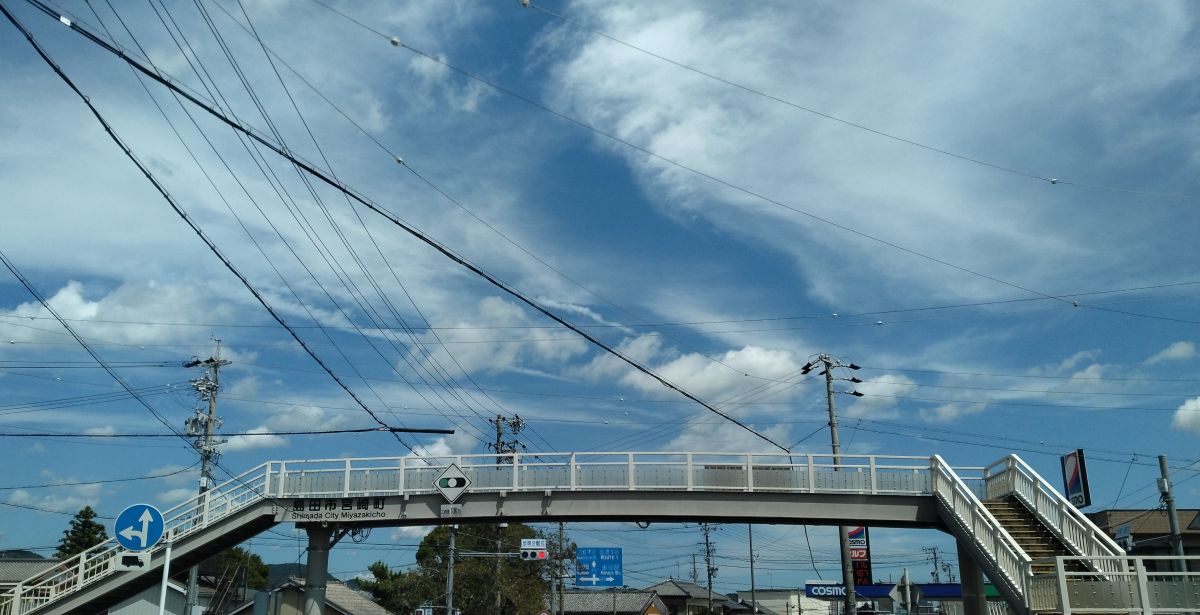 わたしのすき