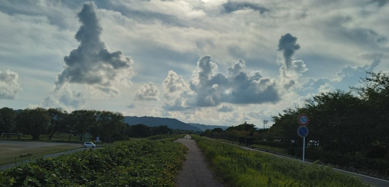 わたしのすき