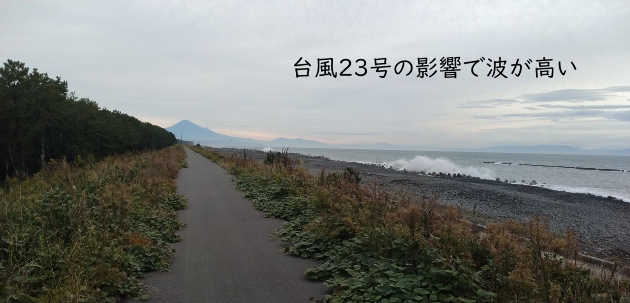 わたしのすき