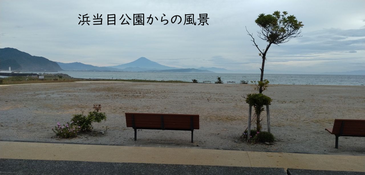 わたしのすき
