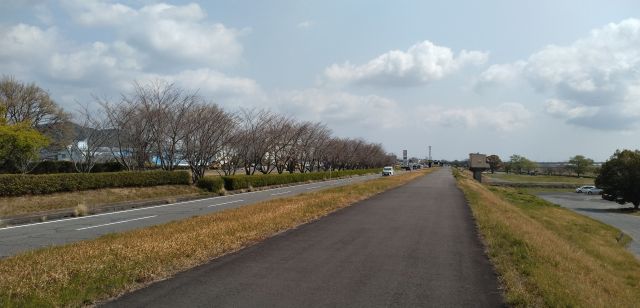 わたしのすき