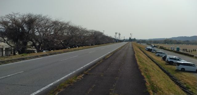 わたしのすき