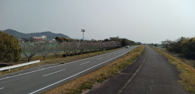 わたしのすき