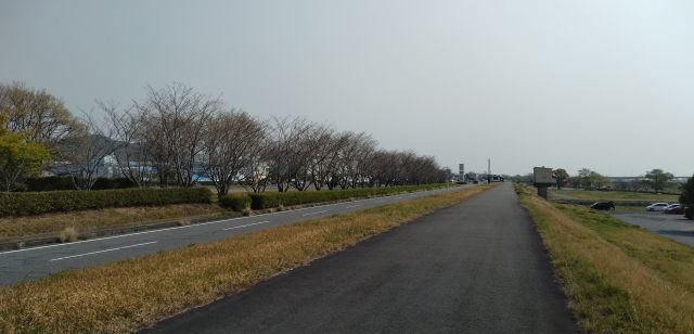 わたしのすき