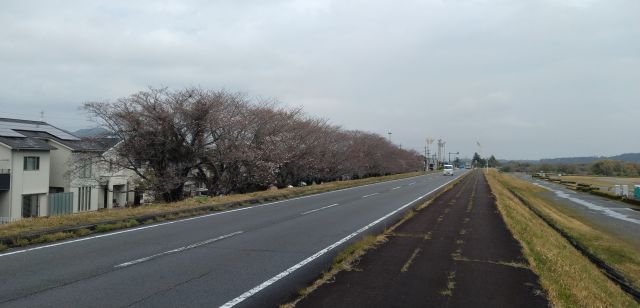 わたしのすき