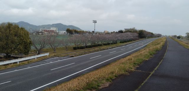 わたしのすき