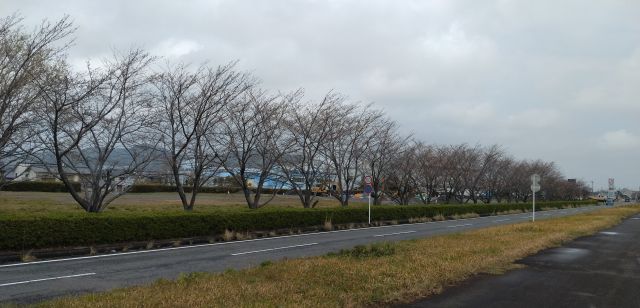 わたしのすき