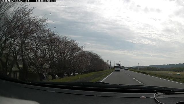 わたしのすき