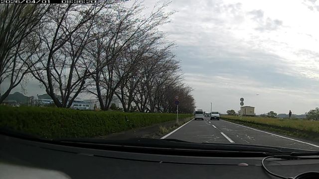 わたしのすき