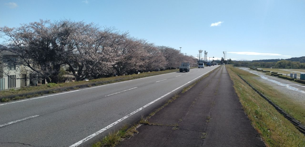 わたしのすき