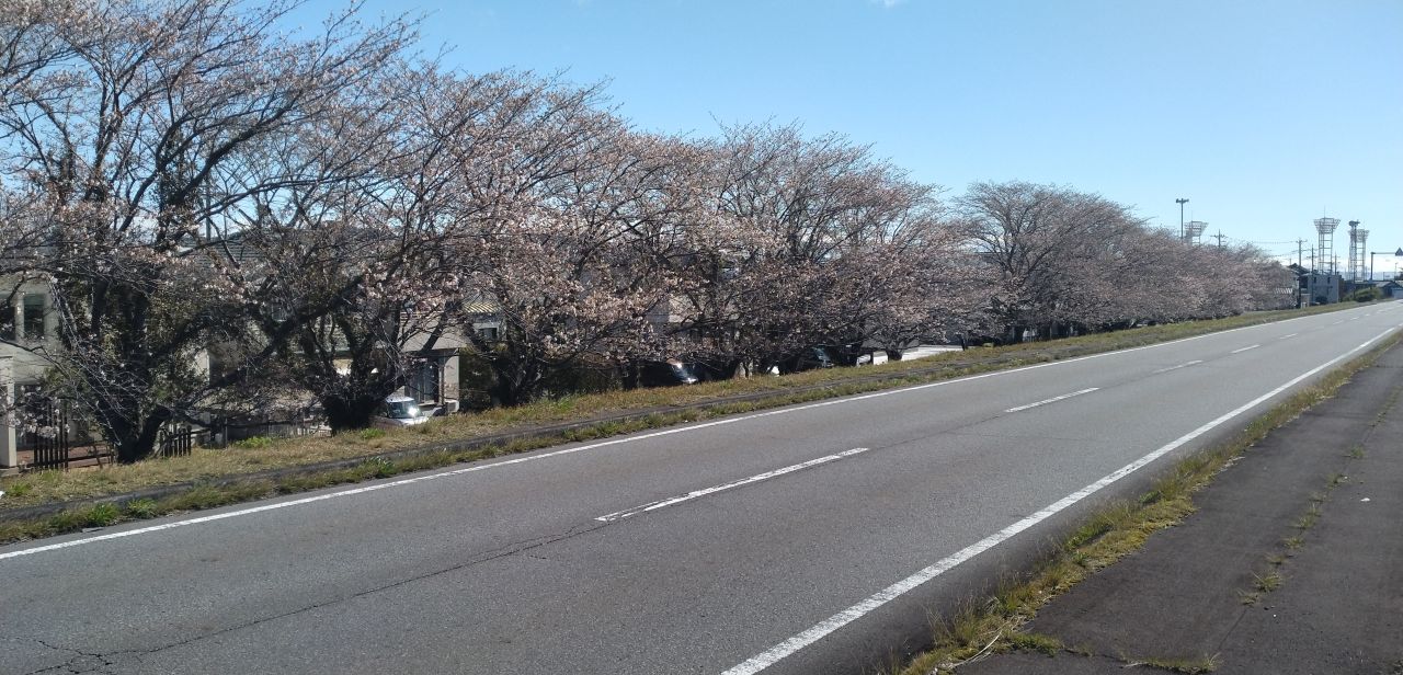 わたしのすき