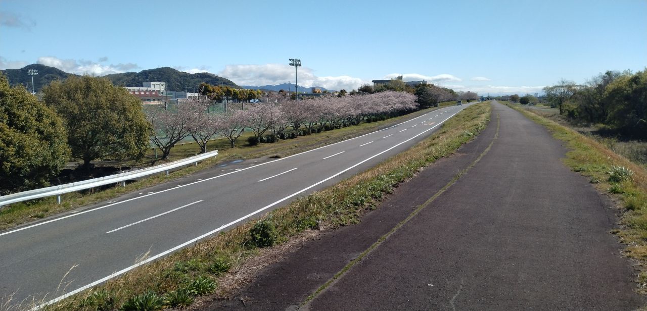 わたしのすき
