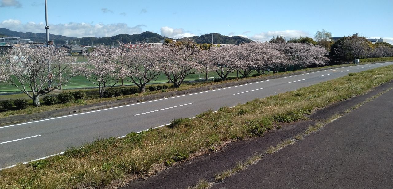 わたしのすき