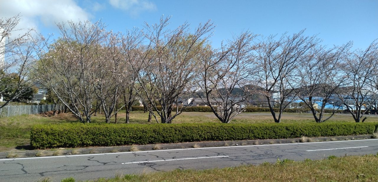 わたしのすき
