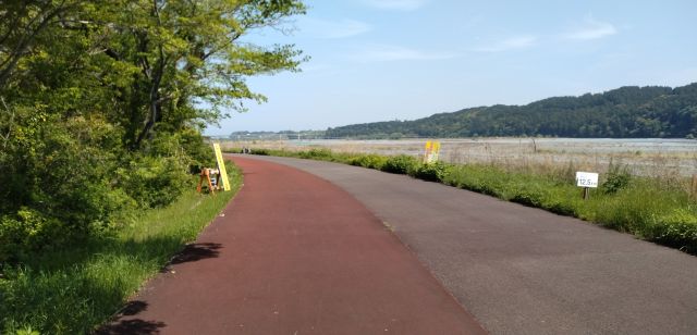 わたしのすき
