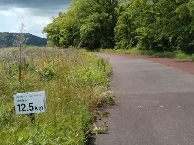 わたしのすき