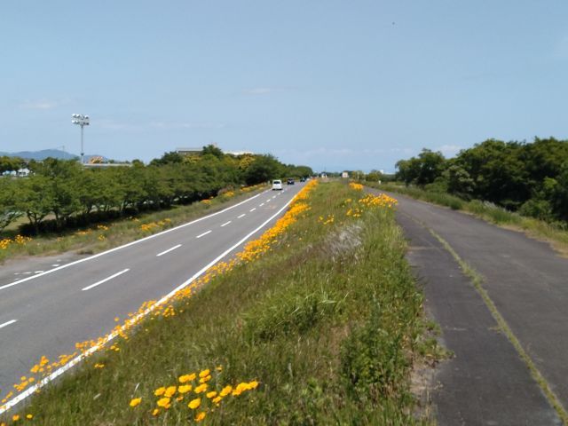 わたしのすき