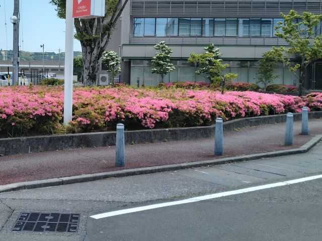 わたしのすき