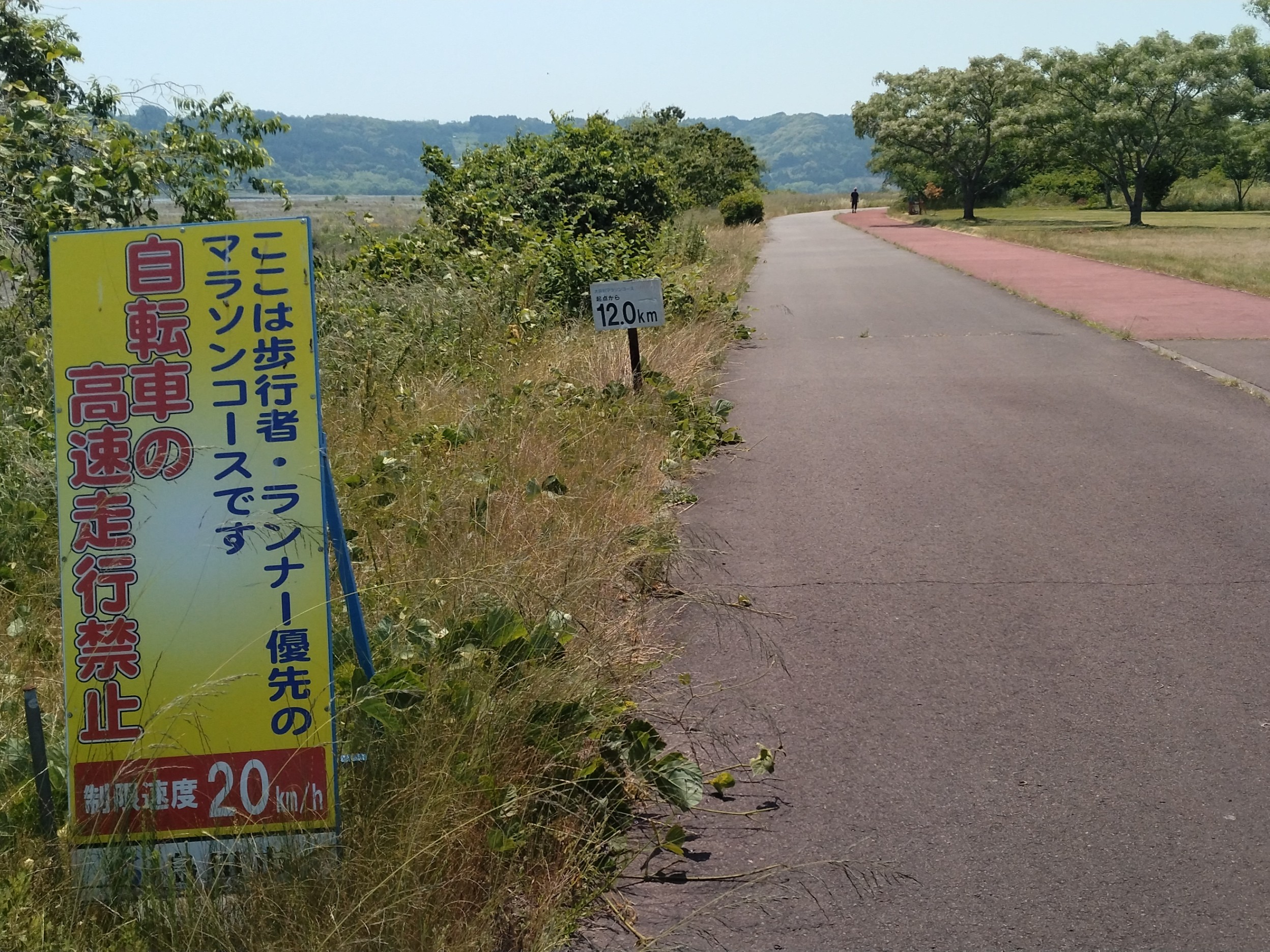 わたしのすき