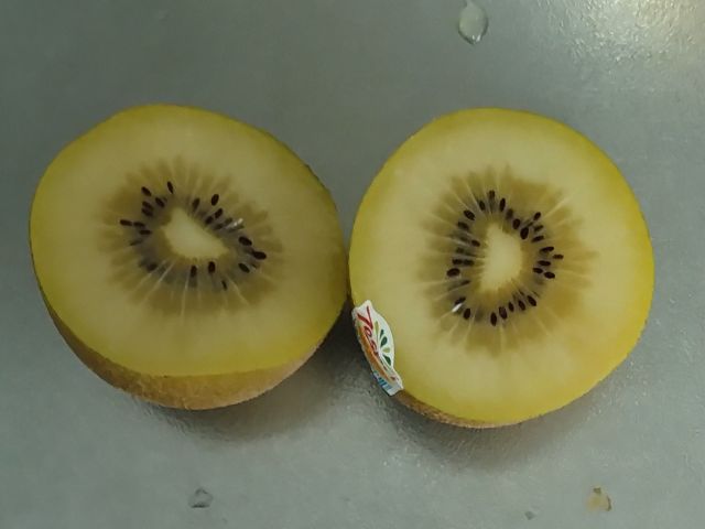 わたしのすき