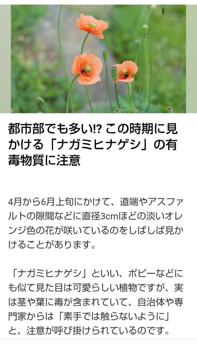わたしのすき