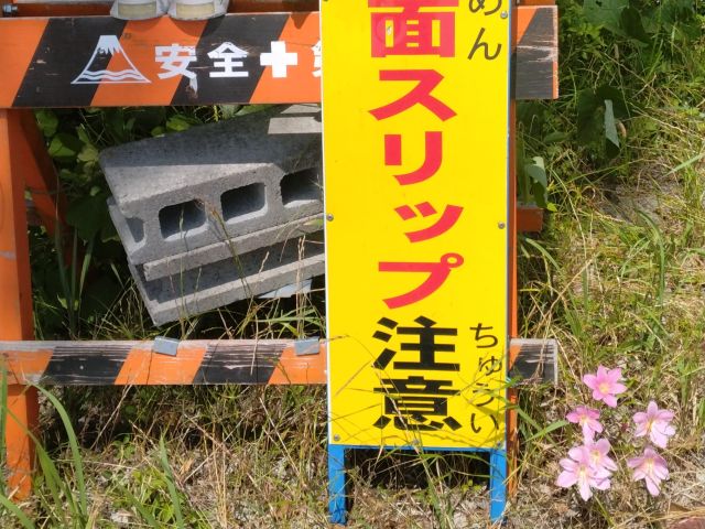 わたしのすき