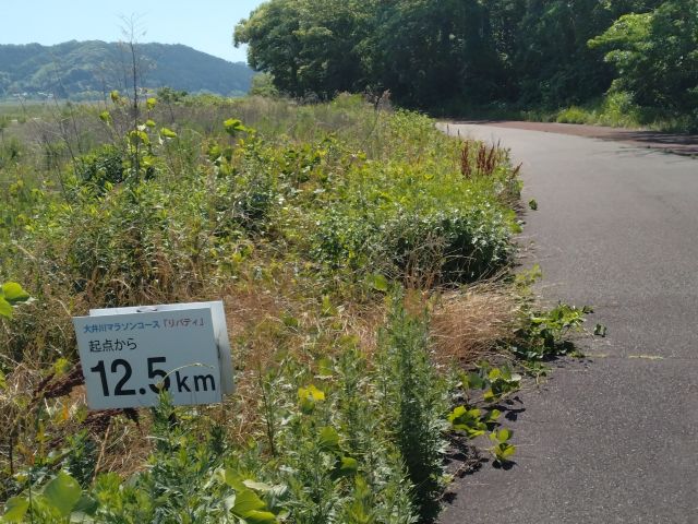 わたしのすき