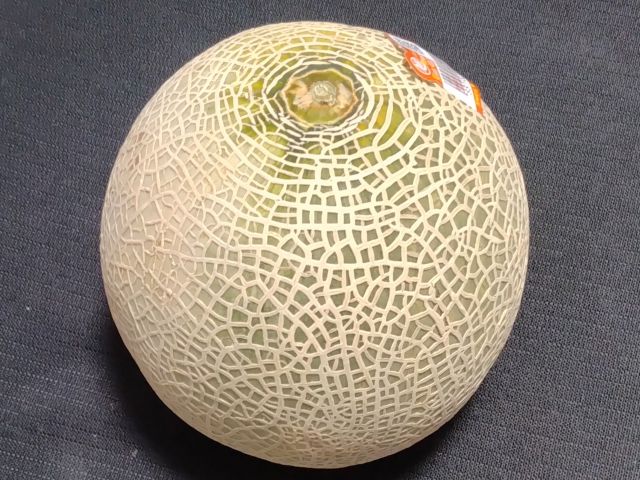 わたしのすき