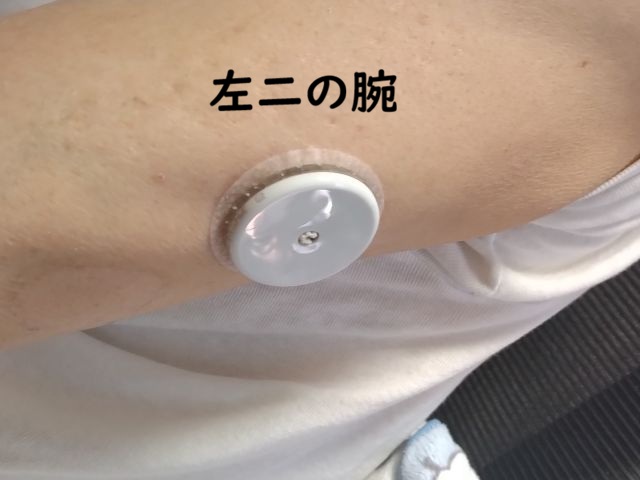 わたしのすき